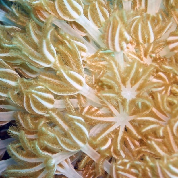 234940321_b320d3635c_b