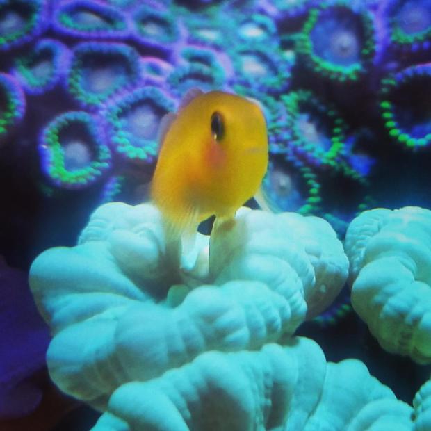 B-R3Rv3IgAE5_jK.jpg-large