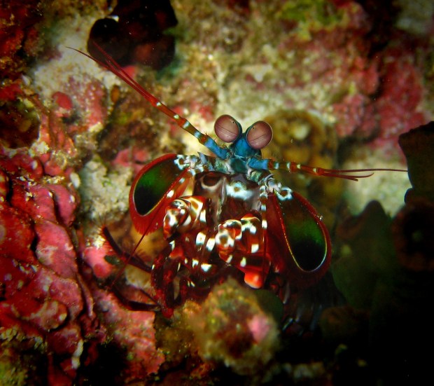 9364352428_ae9d9ee456_b